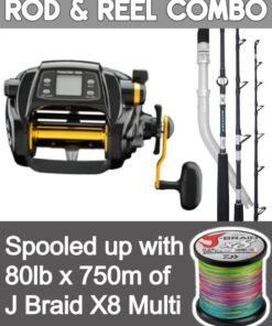Daiwa Tanacom 1000 Electric Reel & Saltist 56HT Rod Combo